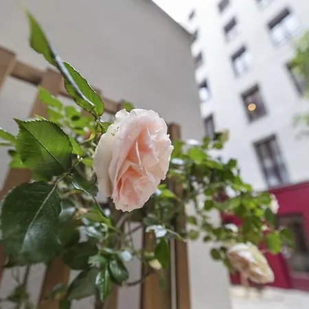 Alpohi Apartamento
